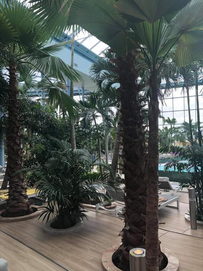 Grabska Osada Apartamenty - 100M Od Suntago Park-Domki Ogrzewane Caloroczne Mszczonów Exterior foto